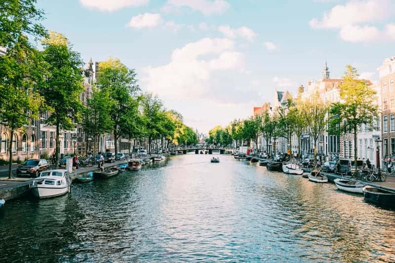 Boats moored along a tree-lined Amsterdam canal